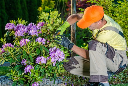 Garden makeover ideas for a Feltham home with improved paving and planting