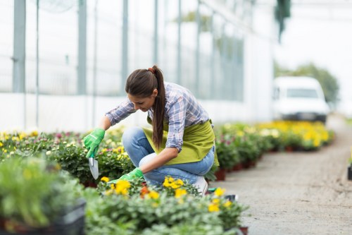 Marketing cookies and user preferences for Landscaping Feltham website