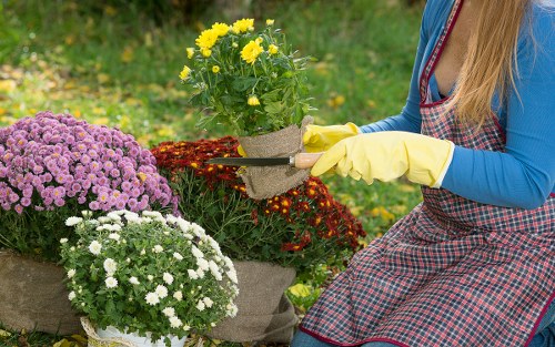 Professional landscaping crew following safe working practices
