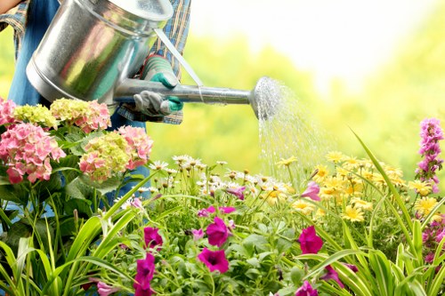 Reviewing landscaping service details and site notes during a complaint