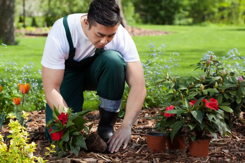 Overgrown outdoor space transformed during a garden makeover in Feltham