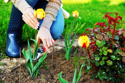 Final landscaping touches in a Feltham property garden