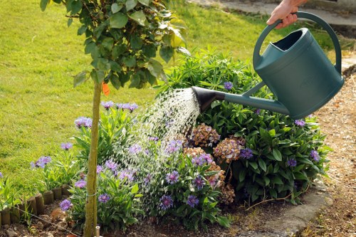 Inspecting a landscaped area as part of a formal complaint review