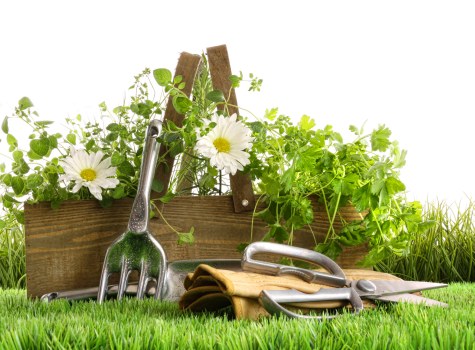 Low-maintenance artificial lawn suitable for a Feltham family garden