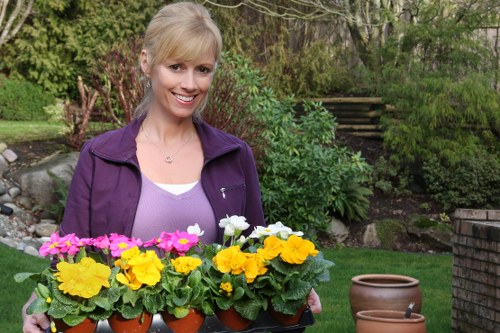 Professional landscaping in Feltham with planting and paving