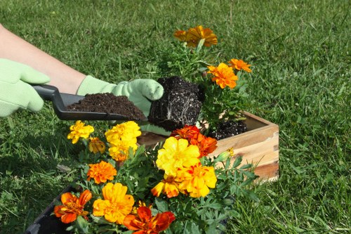 Professional garden landscaping for a residential property in Feltham