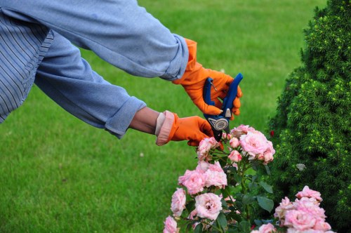 Low-maintenance soft landscaping design for Feltham
