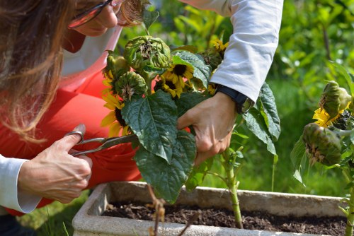 Accepted payment methods for Landscaping Feltham including cards and PayPal
